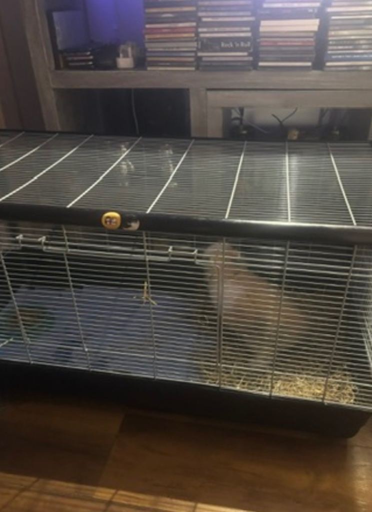 Small animal pet cage rabbits/hamsters/guinea pigs 