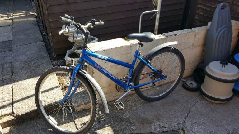 Girls teenager mountain bike 