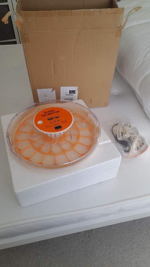 Egg incubator 