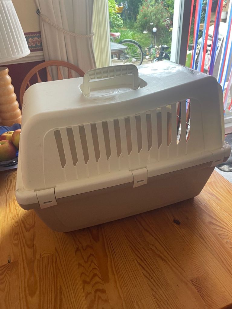 Small pet carrier 