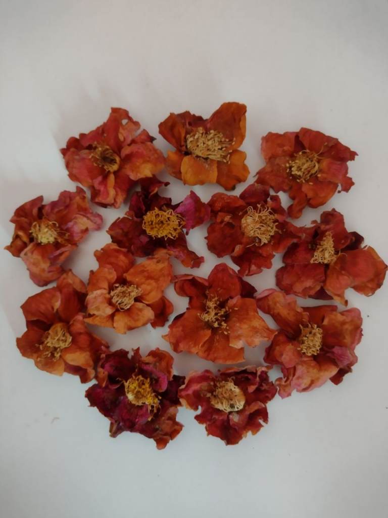 Natural Rustic Camelias for Wedding Tables or Flower Girls. At £3-£5 see the photos/details below.