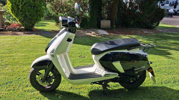 AJS, BARLETTA, 2024, 50 (cc)
