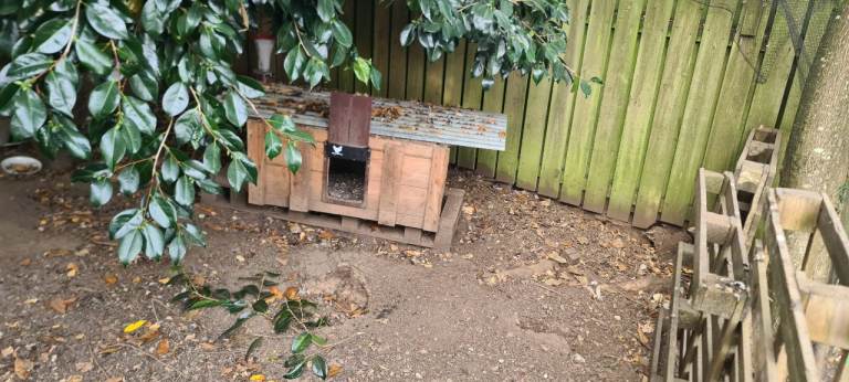 Free DIY chicken coop - PENDING collection