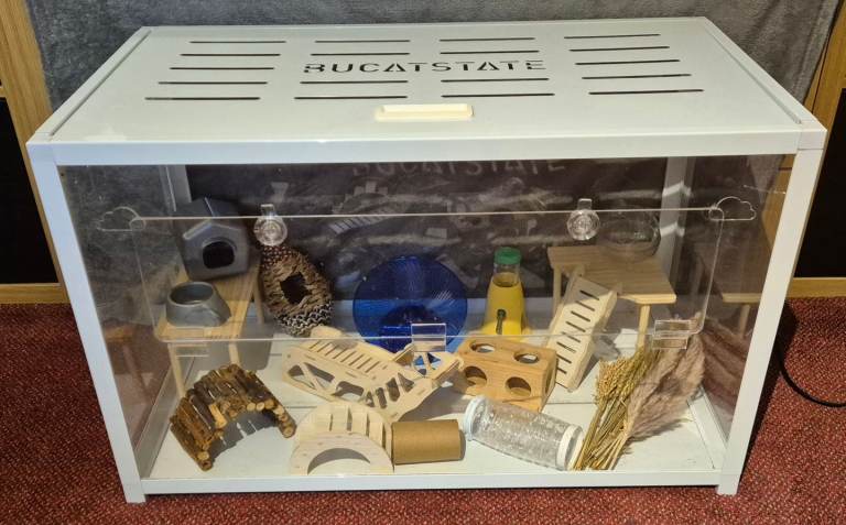 Bucastate dwarf hamster mouse small rodent enclosure 