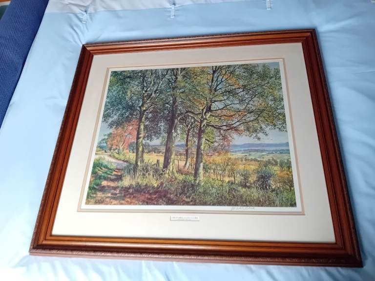 James McIntosh Patrick Print Carse of Gowrie & Fife from Dron Signed Limited Edition 227/850 framed.