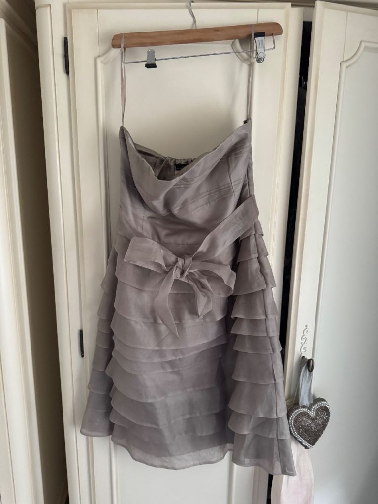 Zara Taupe Party Dress