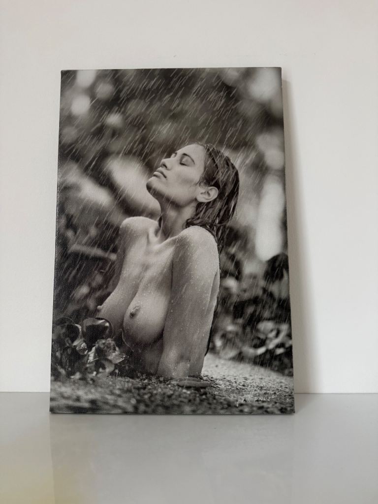 Fine Art Black & White Photography Nude Canva
