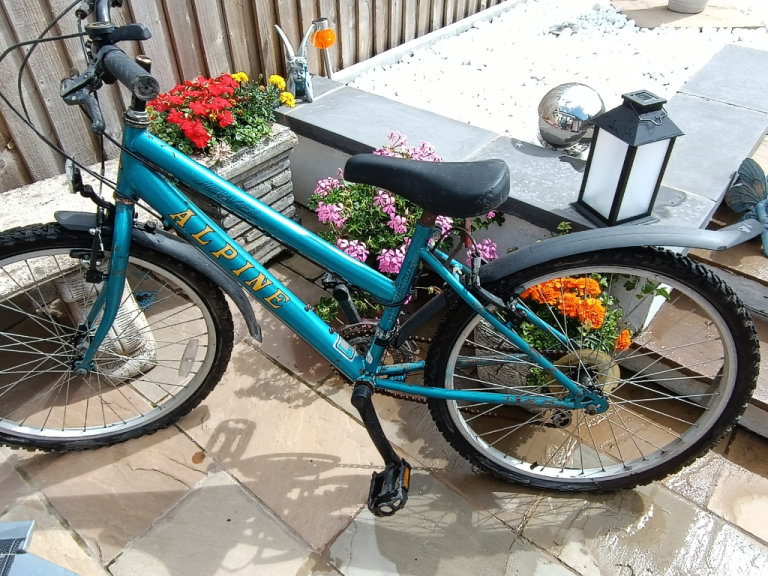 Alpine Mountain Bicycle. Used. 24 inch wheel 