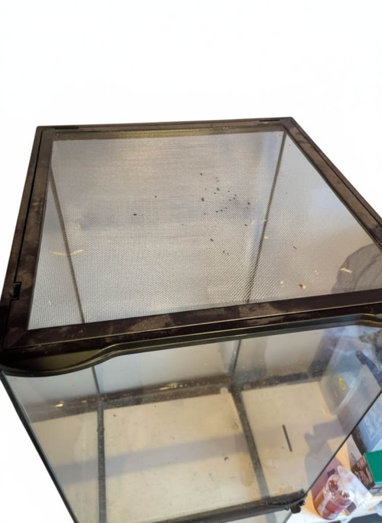 Zoomed paludarium 90cm x 45 x 45