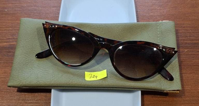 Sunglasses Case Sage Green