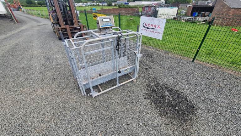 Iae digital lamb weigh scales farm livestock tractor 