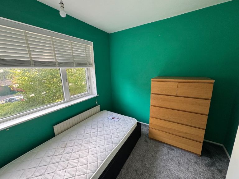 Single room to rent
