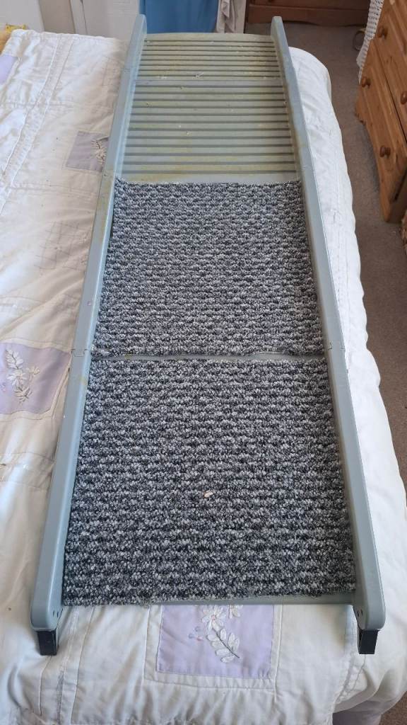 Dog ramp 