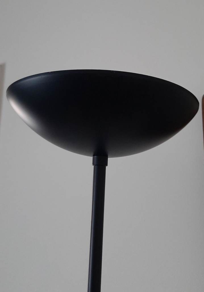 Tall black standing floor lamp