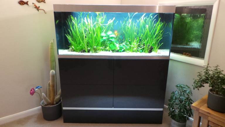Oase Highline 400 ltr Aquarium and fish