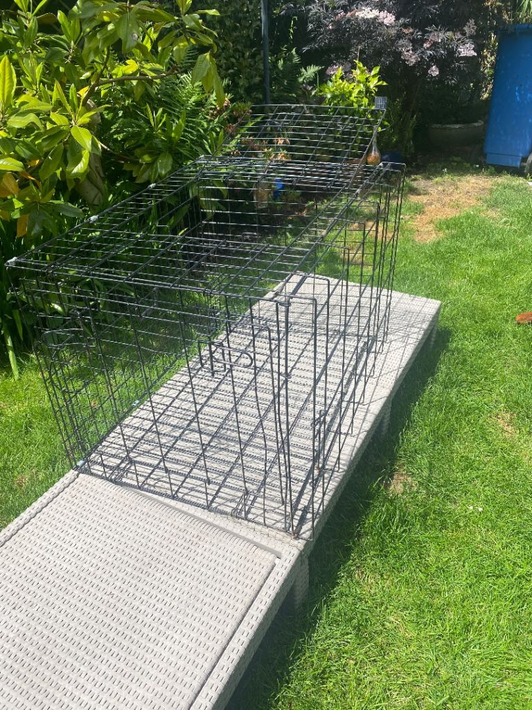 Large dog cage
