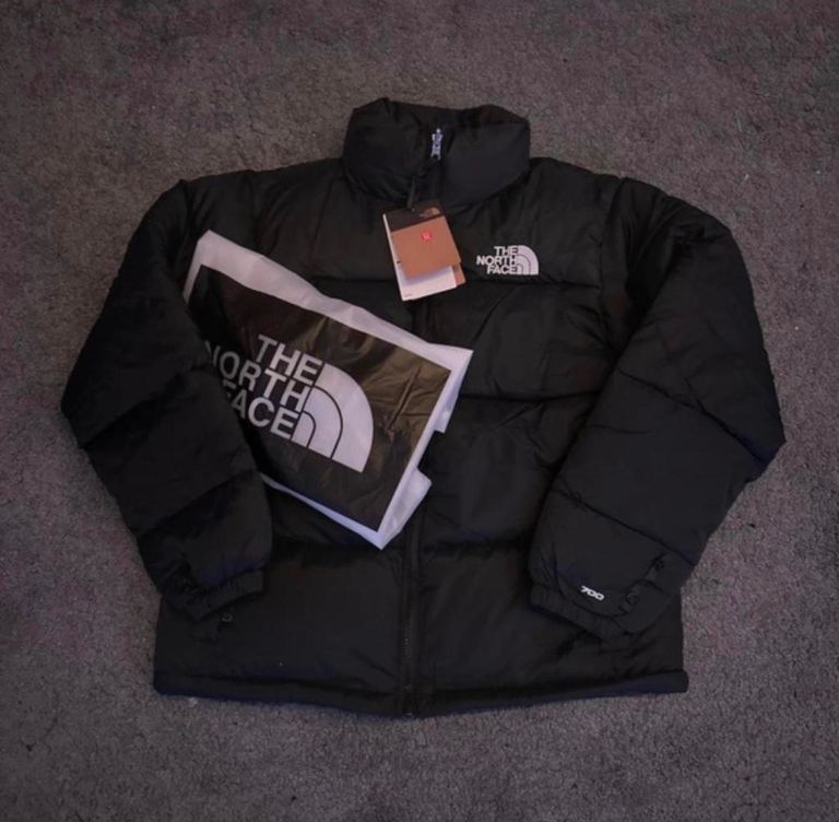 The North Face 700 puffer