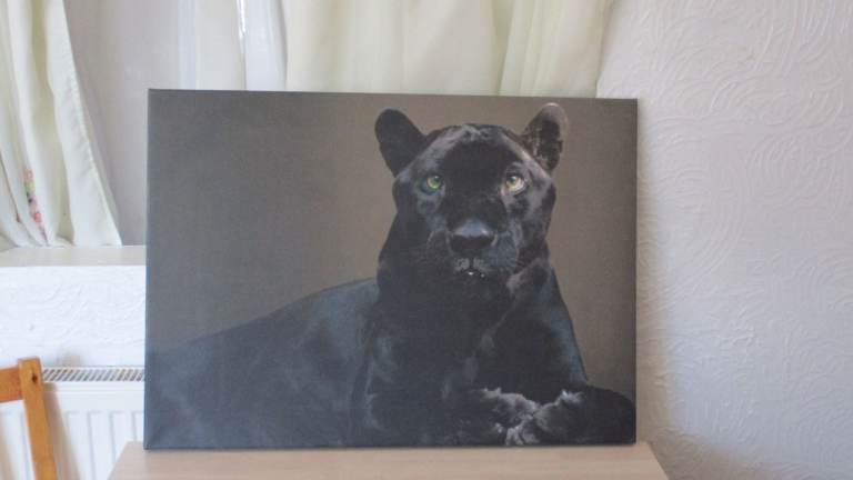 Panther print