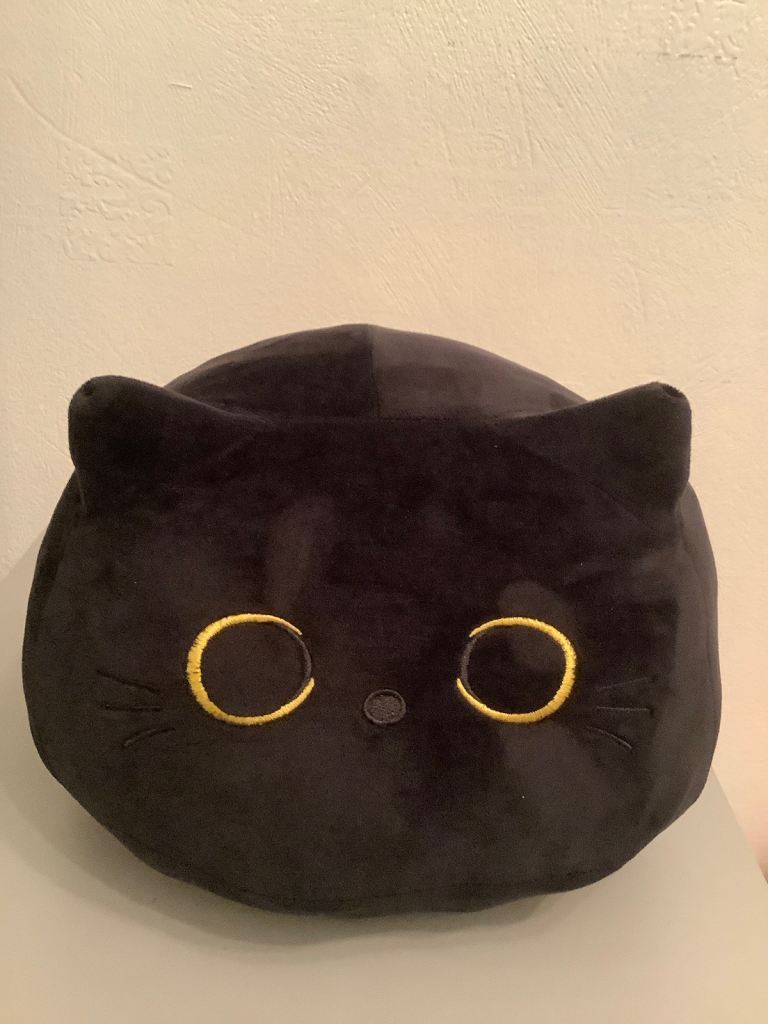 Black Cat Plush Pillow Toy