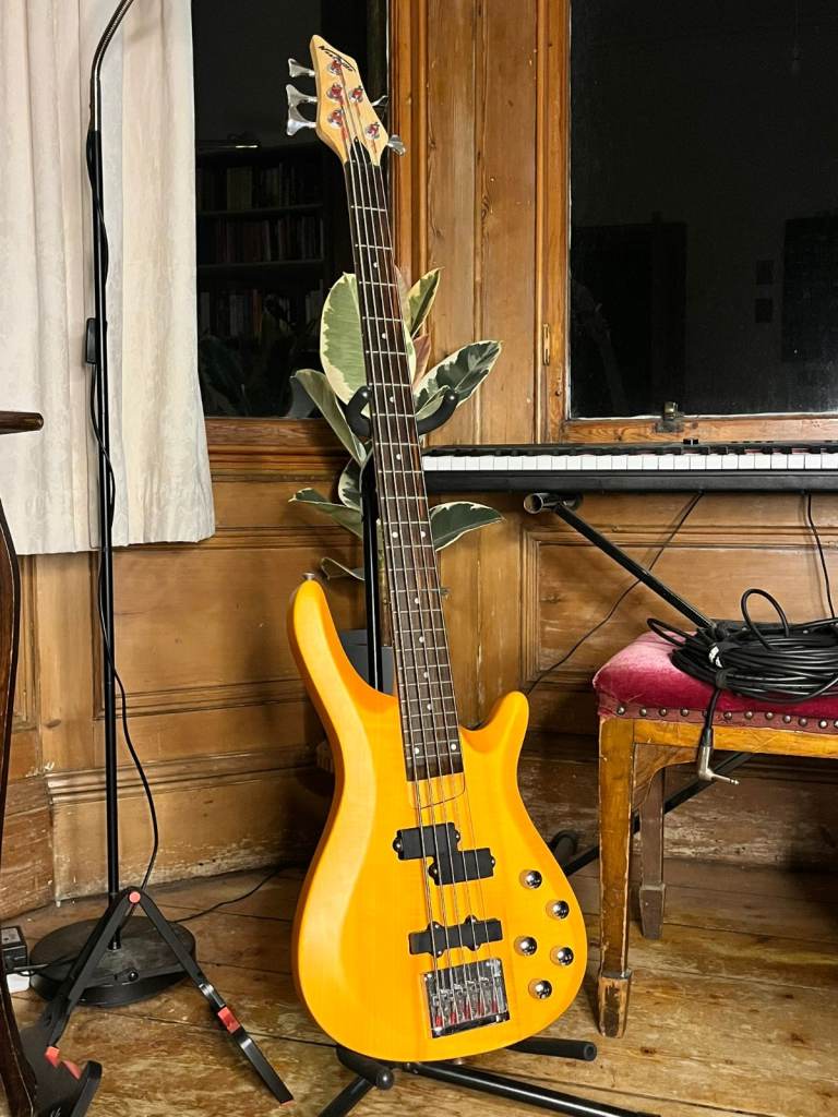 Nashville 5-String Bass Guitar - Orange, Good Condition