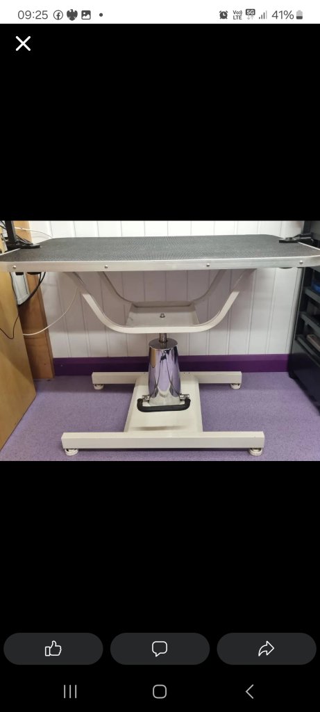 Hydrolic dog grooming table 
