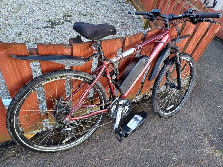 Adult bike