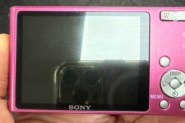 SONY Cyber-shot DSC-W320 Digital Camera 14.1MP 4x Optical Zoom