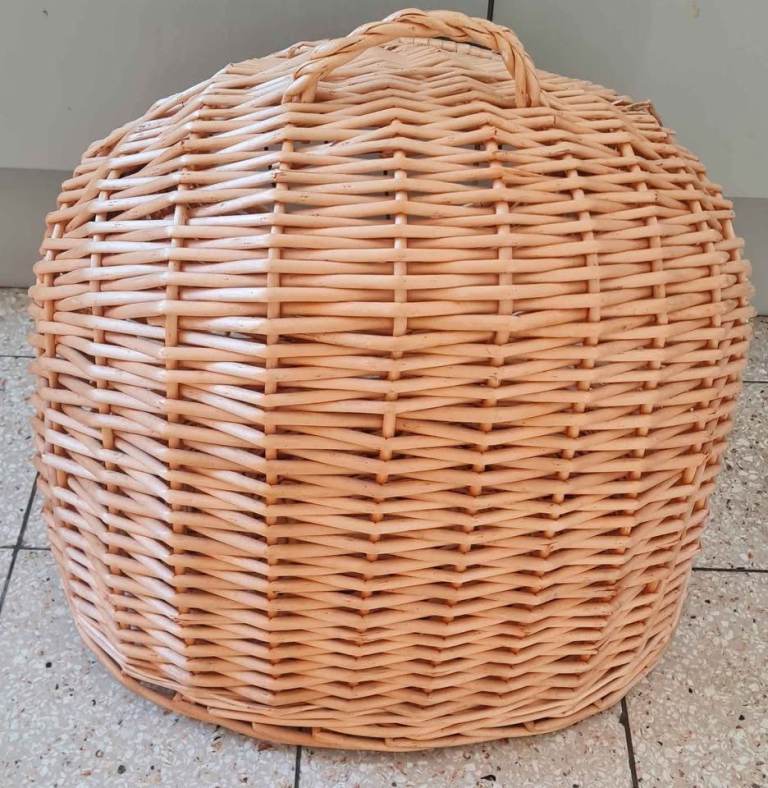vidaXL 170908 Cat Transporter 50x42x40cm Natural Willow