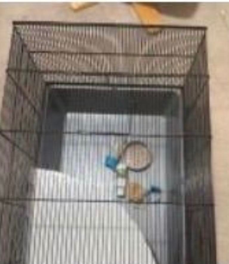 Indoor cage
