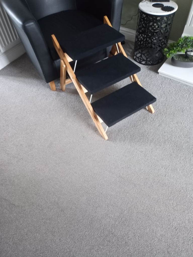 Dog/Cat ramp or steps