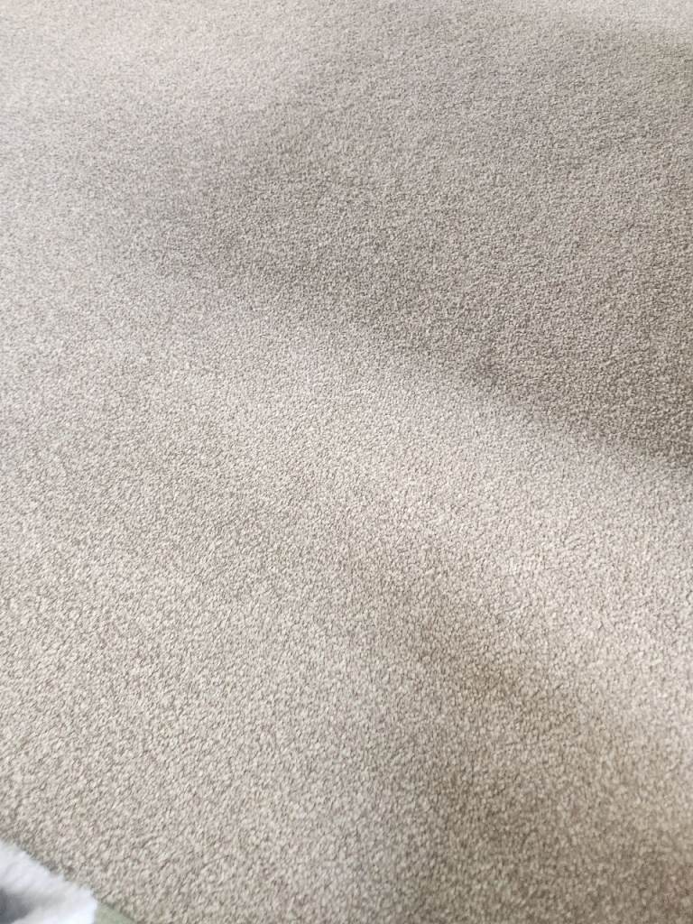 Kitten/small rabbit carrier 