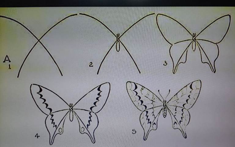 Wanted. Patio slabs. Any condition. 