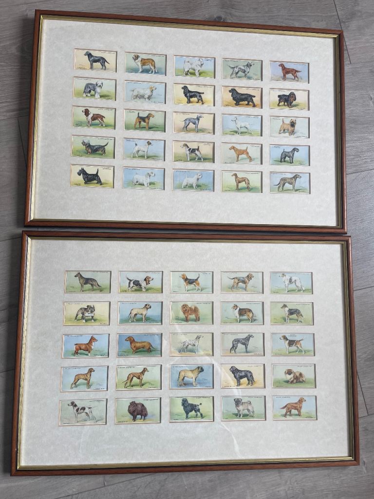 Wills dog cigarette card set
