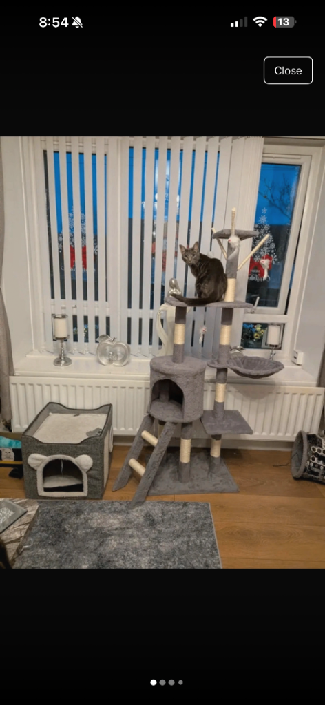 Cat tree new 