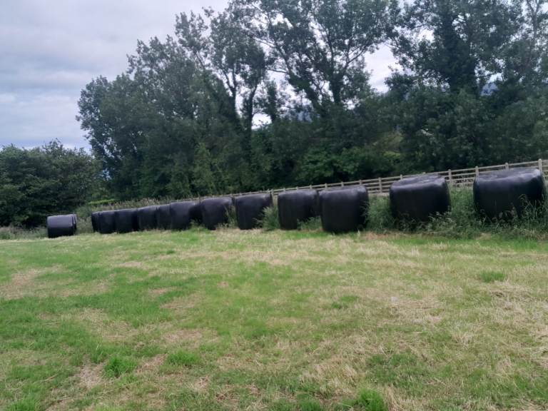 First class quality Haylage 