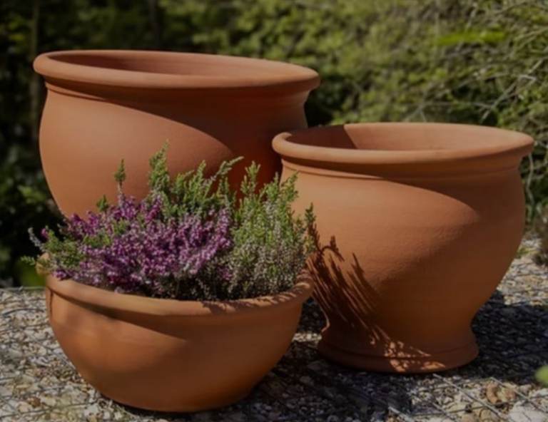 Wanted: terricota or ceramic plant pots