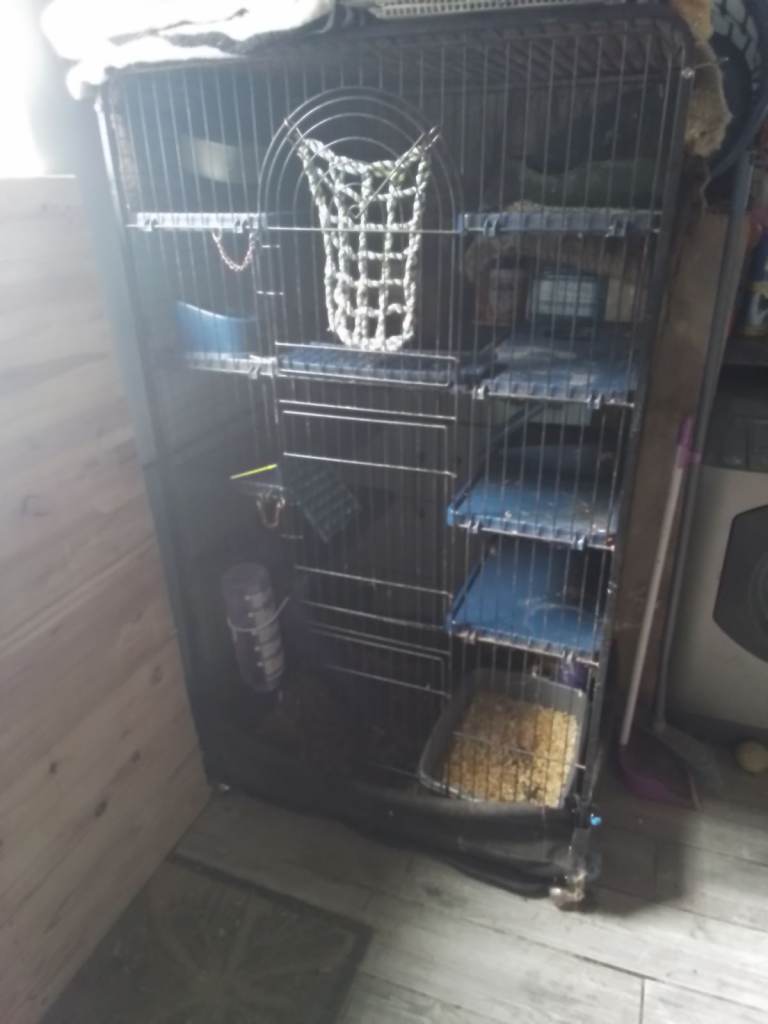 Large Ferret/Chinchilla cage