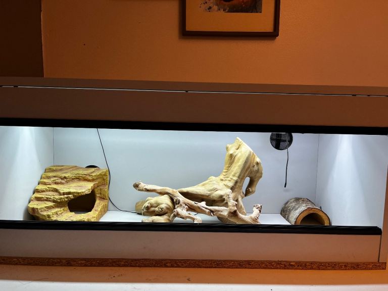 Reptile cage