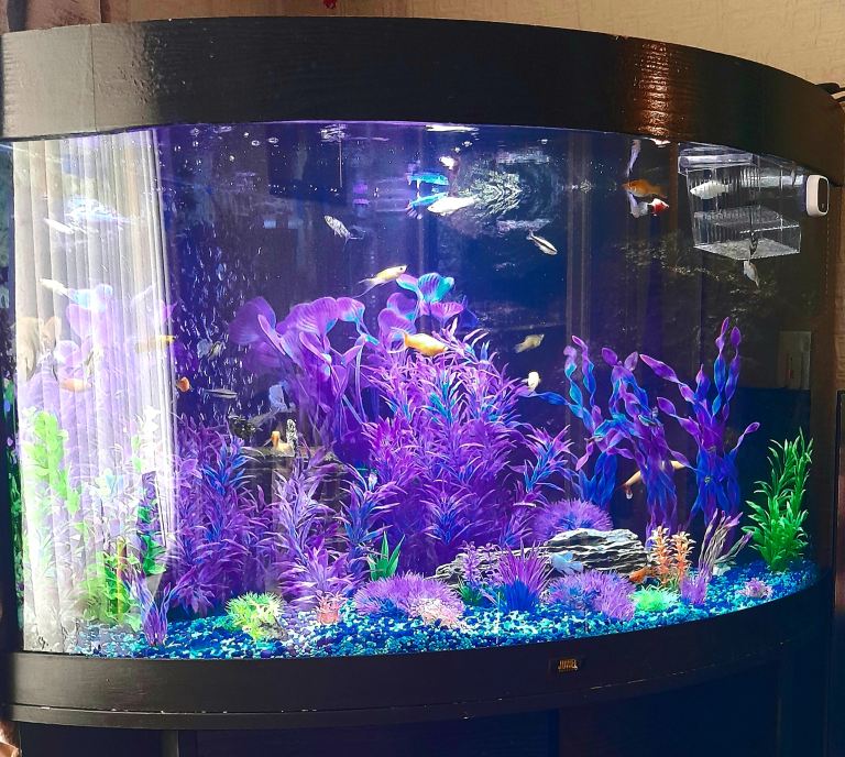 Juwel corner fish tank + cabinet