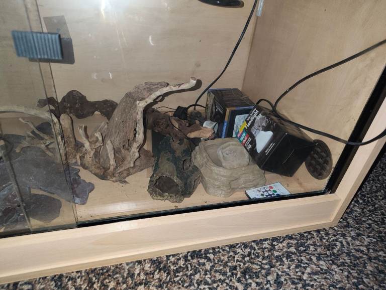 3ft Viv 