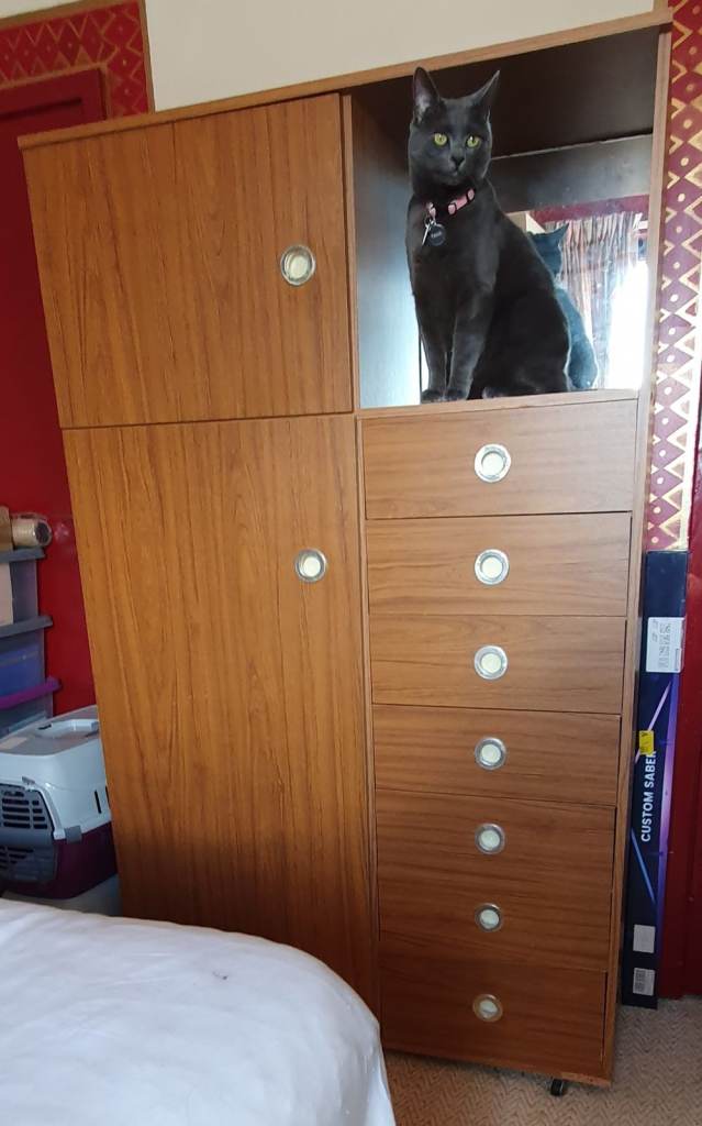 Free Wardrobe