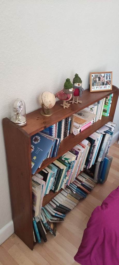 Sturdy Wooden Bookshelf with Two Shelves