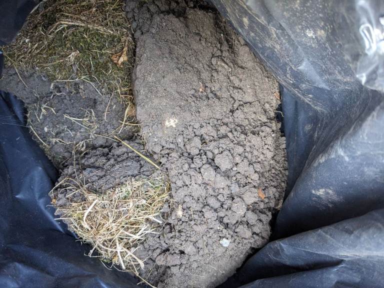 Garden Top Soil 