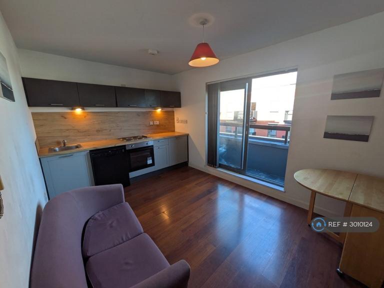 1 bedroom flat in Upper Allen Street, Sheffield, S3 (1 bed) (#3010124)