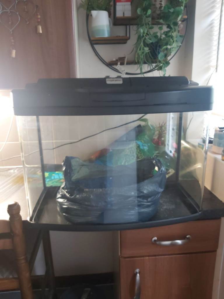 54L fish tank/aquarium 