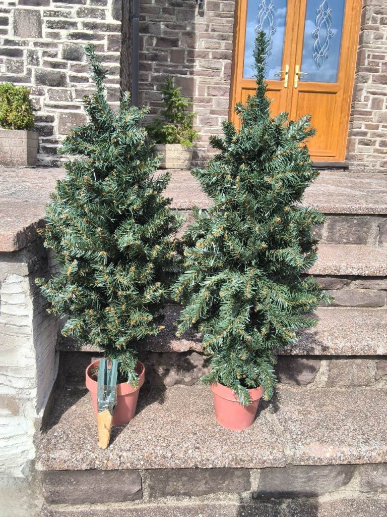 Christmas trees 