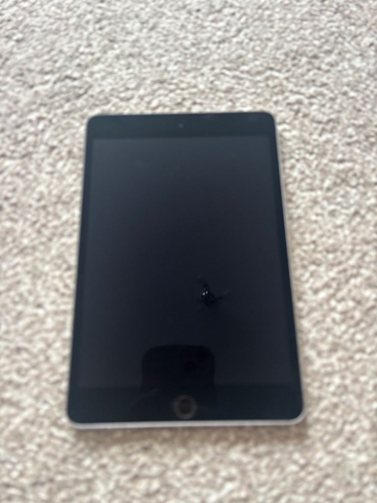 iPad Mini 4th Gen 128gb 