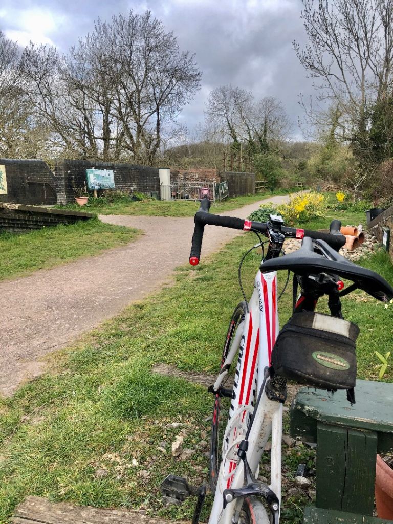 For Sale Specialized Roubaix Elite Road Bike