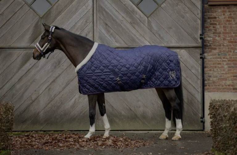HKM Lauria Garrelli Morello 200g Stable Rug - 6' / 135cm