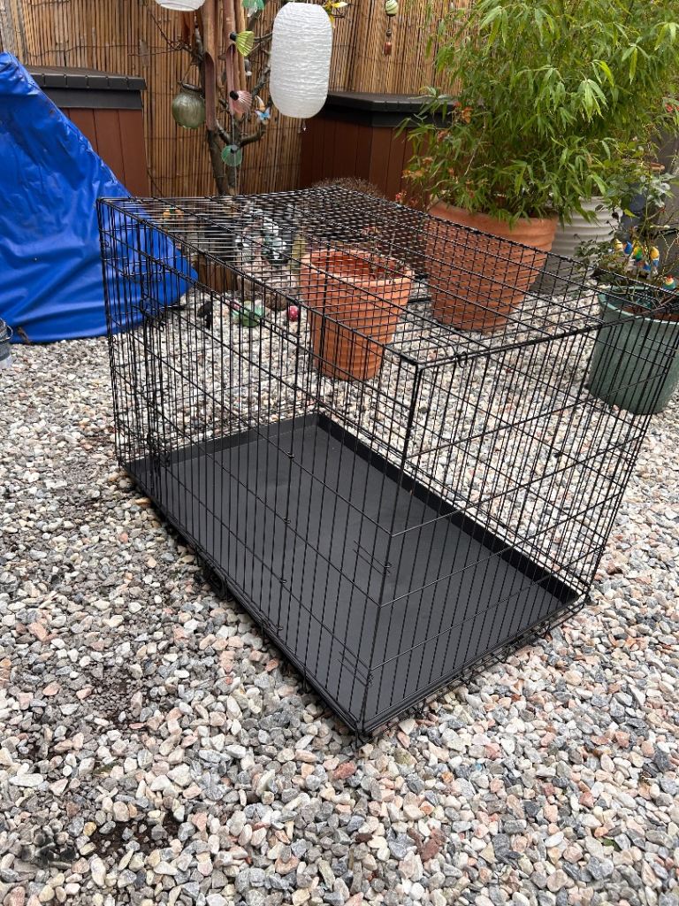Dog Cage